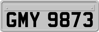 GMY9873