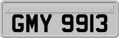 GMY9913