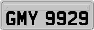 GMY9929