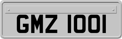 GMZ1001
