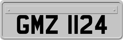 GMZ1124