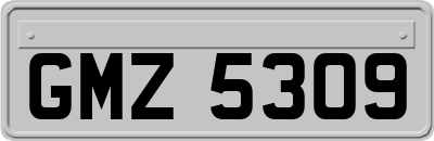 GMZ5309