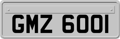 GMZ6001