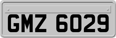GMZ6029