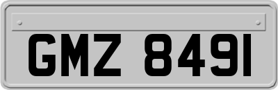 GMZ8491