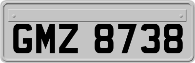 GMZ8738