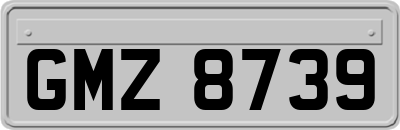 GMZ8739