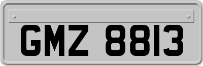 GMZ8813
