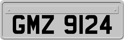 GMZ9124