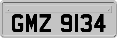 GMZ9134