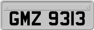 GMZ9313