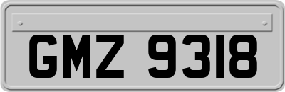 GMZ9318