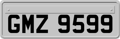 GMZ9599