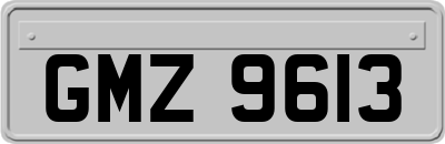 GMZ9613