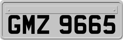 GMZ9665