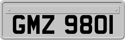 GMZ9801