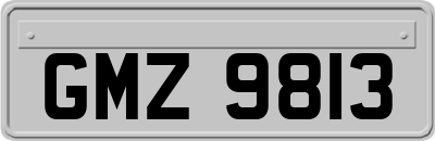 GMZ9813