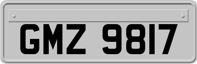 GMZ9817