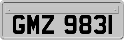 GMZ9831