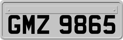 GMZ9865