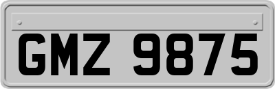 GMZ9875