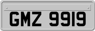 GMZ9919