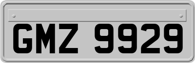 GMZ9929