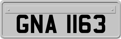 GNA1163