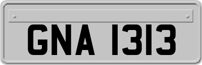 GNA1313