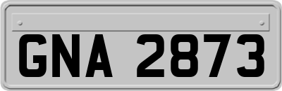 GNA2873