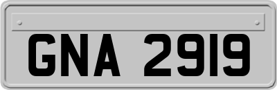 GNA2919