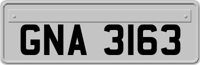 GNA3163