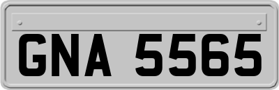 GNA5565