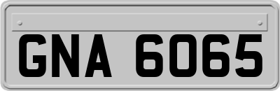 GNA6065