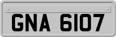 GNA6107