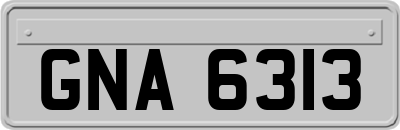 GNA6313