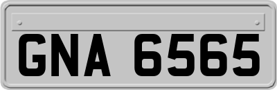 GNA6565