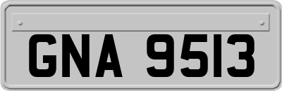 GNA9513