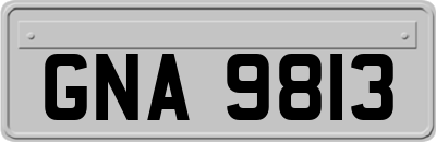 GNA9813