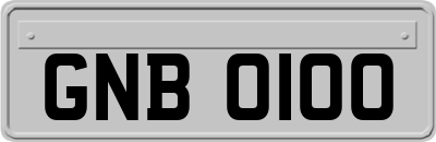 GNB0100