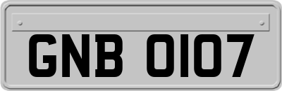 GNB0107