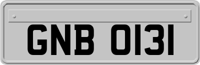 GNB0131