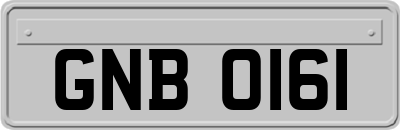 GNB0161