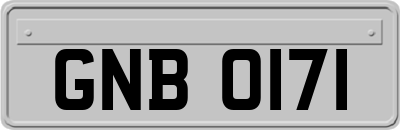 GNB0171