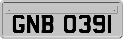 GNB0391