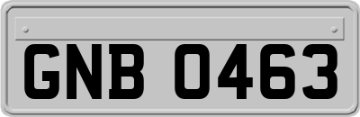 GNB0463