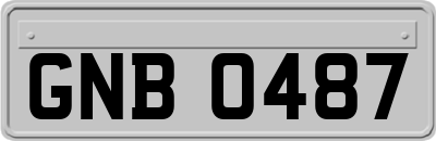 GNB0487