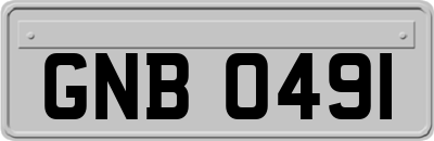 GNB0491
