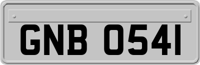 GNB0541