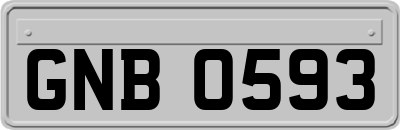 GNB0593